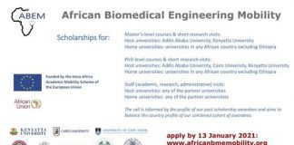 African Biomedical Engineering Mobility Abem Scholarships 2021 2022 For Postgraduate Students And Staff Fully Funded Opportunities For Africans