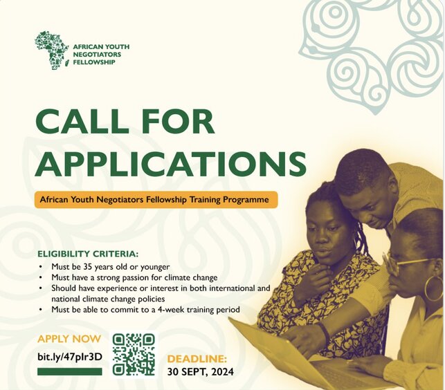 gayo-african-youth-negotiators-fellowship